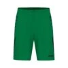 Jako - Short Challenge - Green Shorts Kids -Trend Sport Geschaft 4421 201 jr