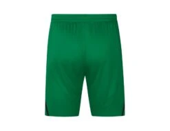 Jako - Short Challenge - Green Shorts Kids -Trend Sport Geschaft 4421 201 jra