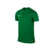 Nike - Park VI Jersey JR - Grünes Fußballshirt -Trend Sport Geschaft 725984 302 40361