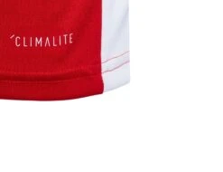 Adidas - Entrada 18 Jersey JR - Rotes Fußballtrikot -Trend Sport Geschaft CF1050 44513 3 1