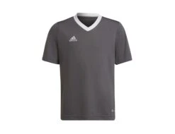 Adidas - Entrada 22 Jersey Youth - Graues Fußballtrikot
