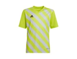 Adidas - Entrada 22 GFX Jersey Youth - Grünes Fußballtrikot