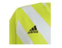 Adidas - Entrada 22 GFX Jersey Youth - Grünes Fußballtrikot -Trend Sport Geschaft adidas hf0133c