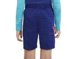 Nike - FCB Strike Shorts - FCB Football Shorts -Trend Sport Geschaft nike cw1704 455a